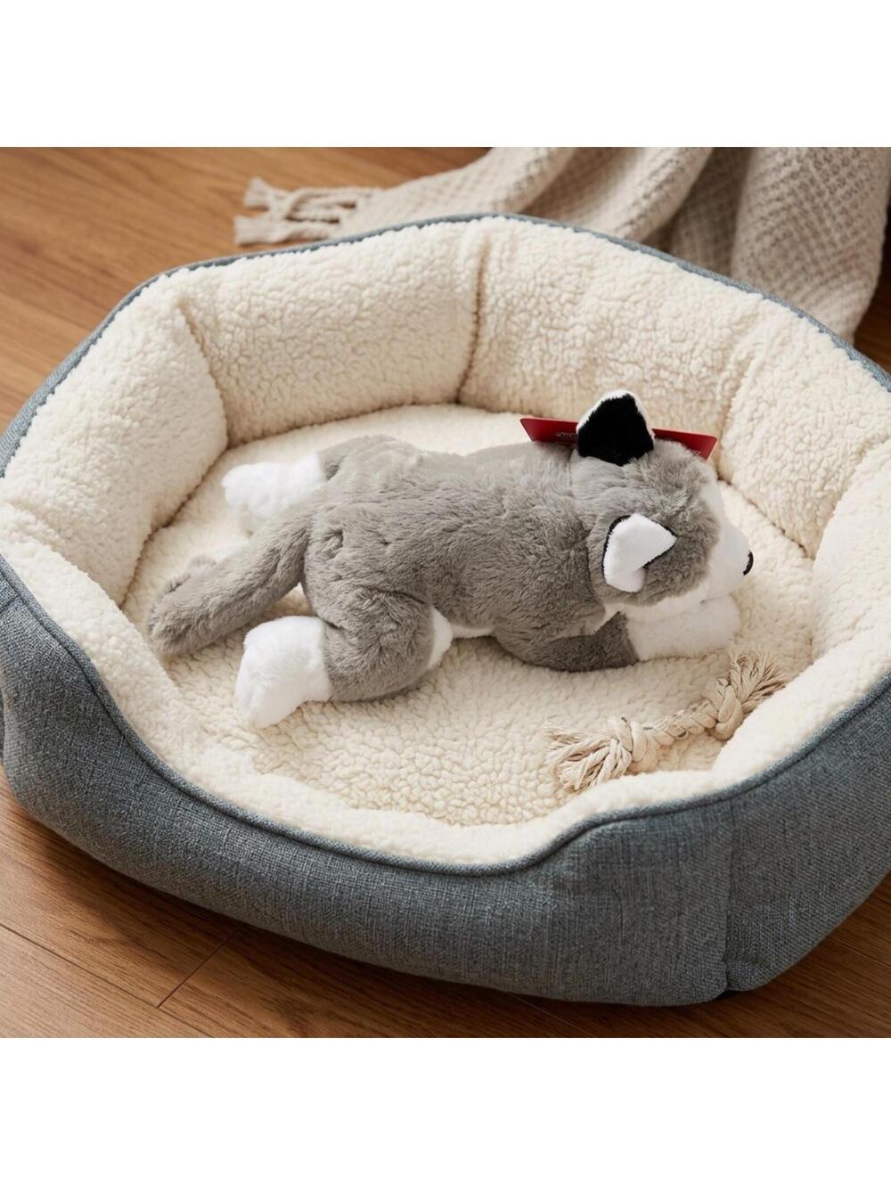 FAO Schwarz Adopt-A-Pet Husky Dog 15” Blue Eyes - New with Tags Adoption Papers